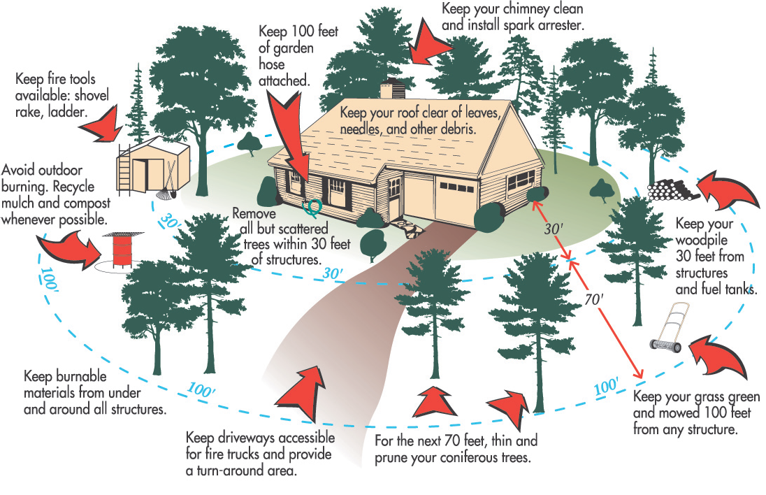 Fire Mitigation -Boulder Colorado