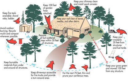 Fire Mitigation -Boulder Colorado