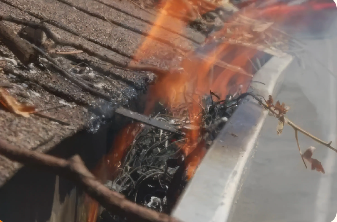 Fire Mitigation -Boulder Colorado