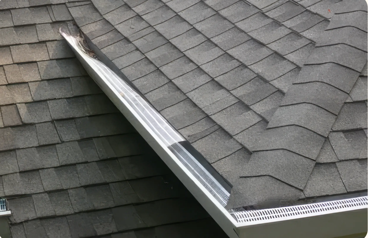 Fire Mitigation -Boulder Colorado