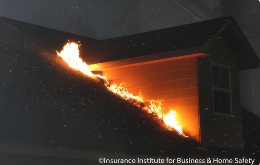 Fire Mitigation -Boulder Colorado